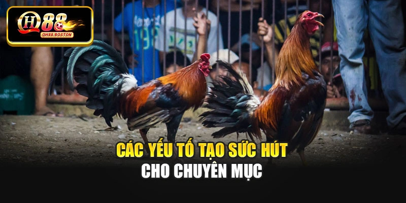 Các yếu tố tạo sức hút cho chuyên mục